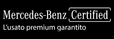 Logo Selezione Auto Spa
